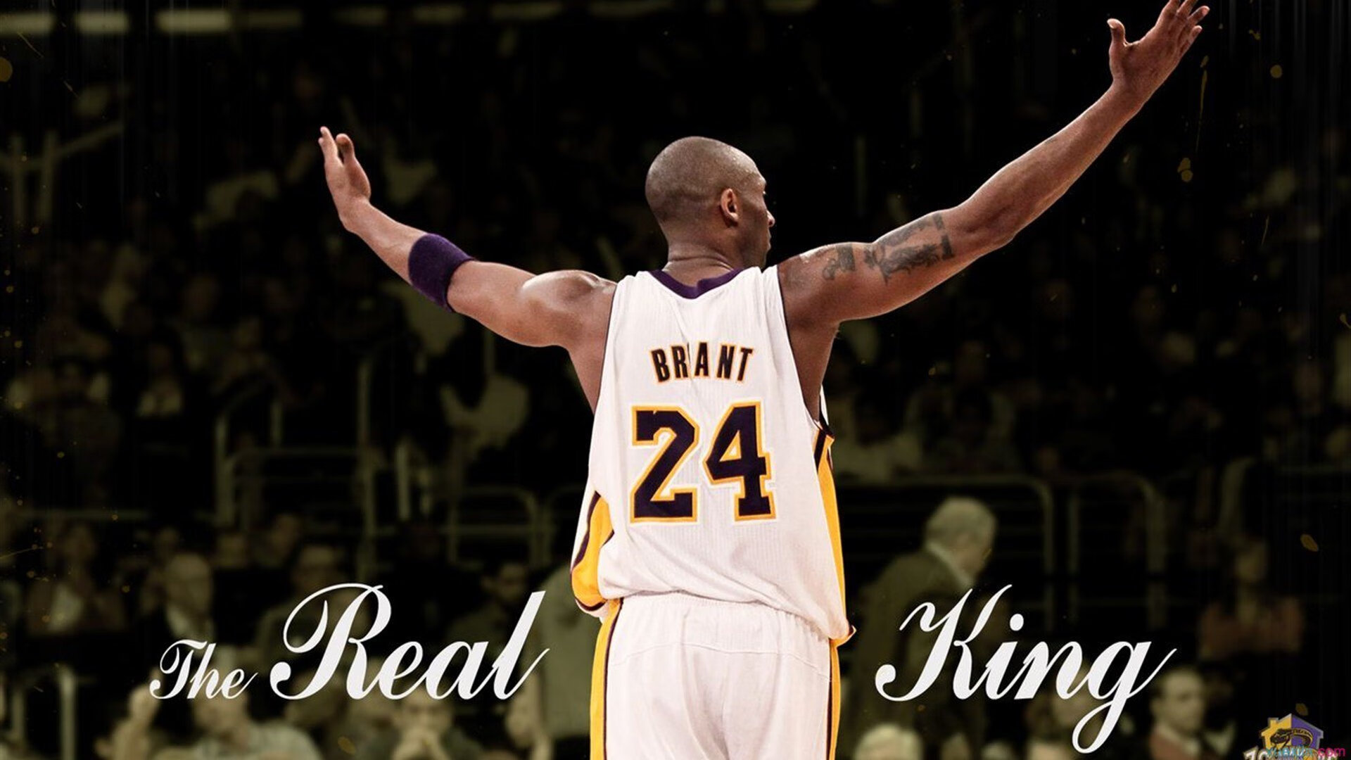 “武汉马拉松:选手们挑战极限,拼尽全力冲刺”