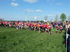 开云电竞-体育新闻中心参与制定青少年体育内容发布规范，青少年体育刊物